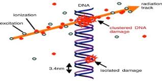 2223-SP-Radiobiologi-ABC