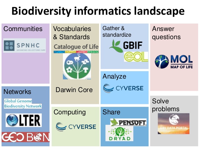 2021-Sem7-Informatika Biodiversitas-AB