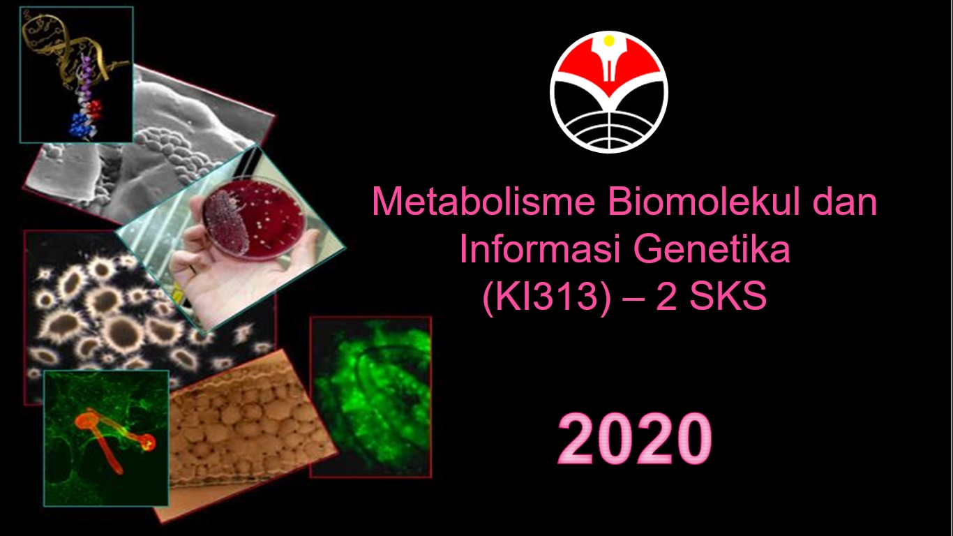 2020-Sem7-Metabolisme Biomolekul dan Informasi Genetika-B