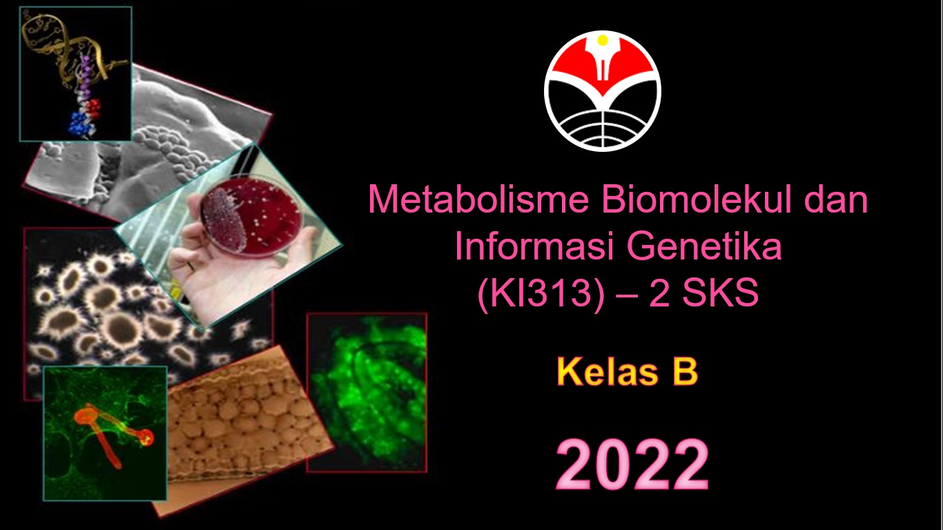 2223-sem7-Metabolisme Biomolekul dan Informasi Genetika-B