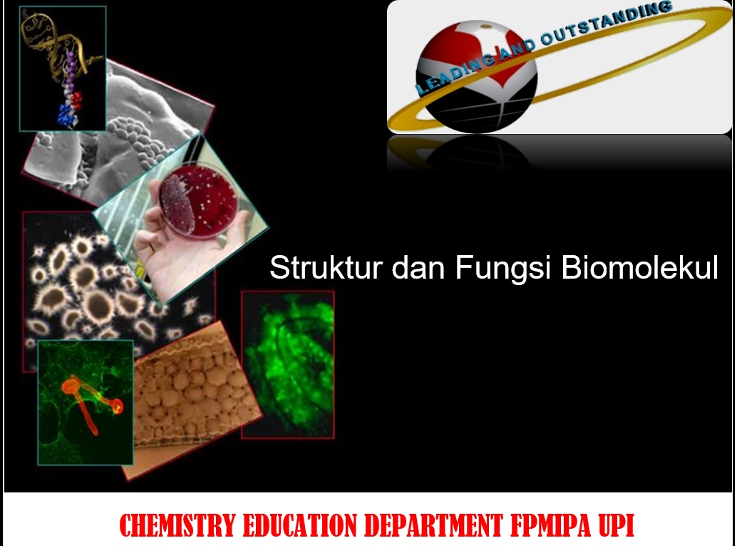 2223-6-Struktur dan Fungsi Biomolekul-B